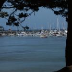 Monterey2016_0082 (April 29, 2016)